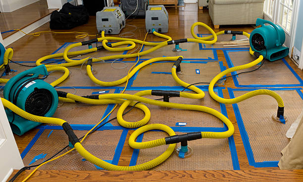 Professional Burst Pipe Water Damage technician working in Camden, MI